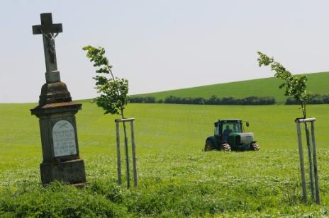 Náš cíl ekologická farma s intenzivní produkcí obilovin, luskovin pro lidskou výživu a produkci bioosiv pěstování alternativních plodin (špalda, pohanka,dvouzrnka, oves, apod.