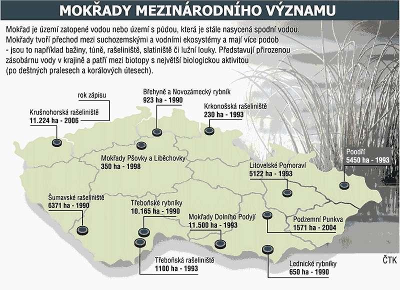 Mokřady v