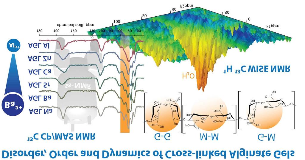 2.5. Výstupy programu ve Společné laboratoři ssnmr spektroskopie 2.5.1.