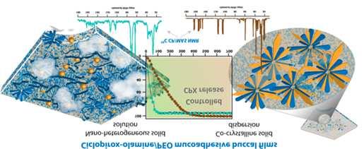 3.3. Martina Urbanová formě. V naší Společné laboratoři NMR pevného stavu ÚMCH AV ČR, v.v.i. a ÚFCH JH AV ČR, v.v.i. se dlouhodobě zabýváme farmaceutickým výzkumem, jehož výsledky budou v krátkosti představeny.