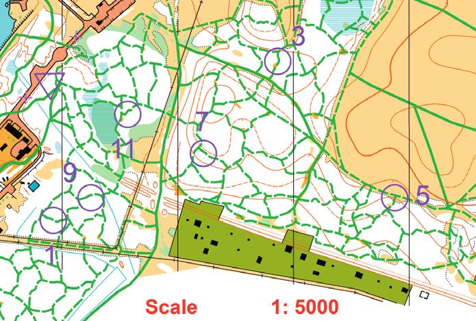 společně náročná síť stop, mapa, roznos kontrol mapy s kontrolami 1, 3, 5 atd. mapy s kontrolami 2, 4, 6 atd. Během tohoto tréninku jedou sportovci ve dvojicích.
