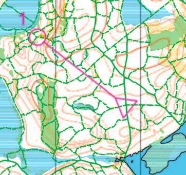 nároky při vyšší obtížnosti všechny rychlosti vyšší rychlost činí orientaci náročnější souvislá bez omezení, pokud je dostatek map, start jednotlivě či po dvojicích náročná síť stop, mapa, tratě,
