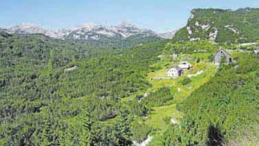 Jelena Justin Današnja tura nas bo popeljala po delu bohinjskega hribovja, ki je v prvi svetovni vojni predstavljalo prehodni pas med zaledjem in bojiščem.