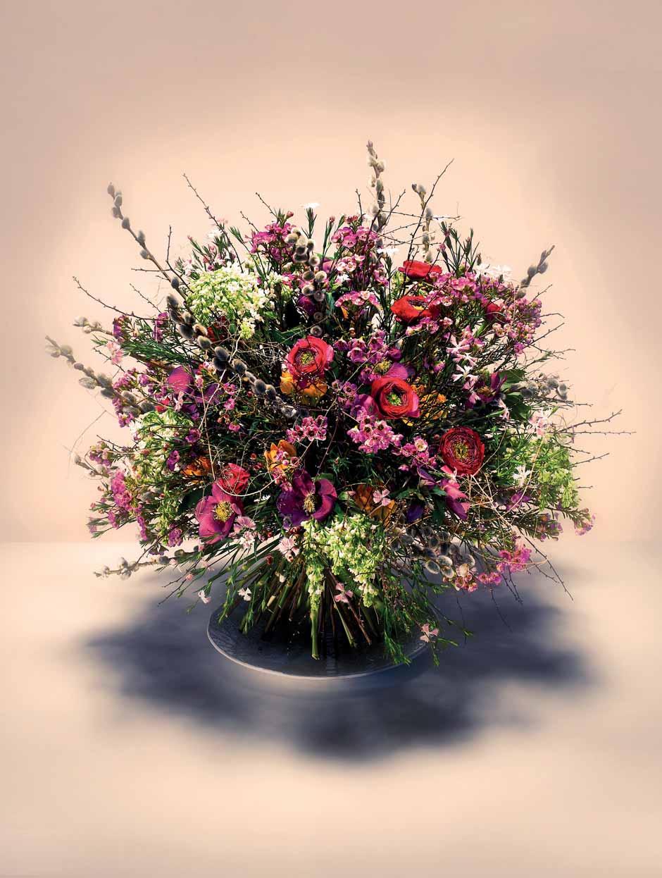 Ranunculus, Anemone, Ornithogalum,