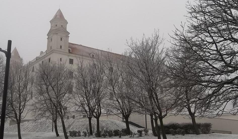 aj veľa vedomostí za krátku dobu škodí.