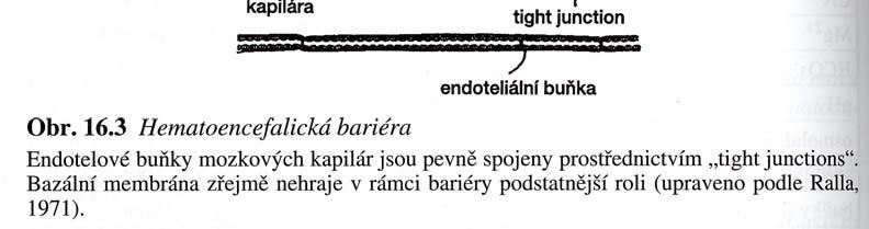LIKVORENCEFALICKÁ BARIÉRA Morfologický podklad HEB tvoří struktura mozkových kapilár,