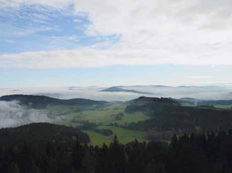 Trh se bude konat každou sudou sobotu, počínaje dnem 13.8.2011, vždy na 1. nádvoří strakonického hradu od 8.00 do 12.00. Poslední letošní termín je plánován na 22.10.