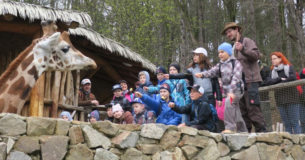 Tam už na nás čekal mluvčí jihlavské ZOO, který nás zde provedl a povídal nám různé zajímavosti o zvířatech a jejich péči.