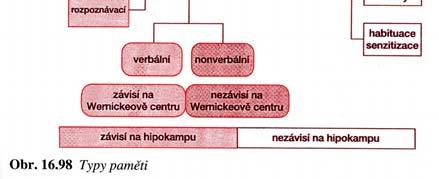 informace: paměť genetická a imunitní.