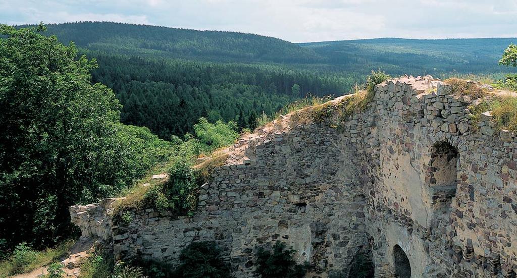 Stfiední âechy 3 Zfiícenina hradu Valdek na okraji Brd. Nosatec Acalles aubei Ïije ve stfiedních âechách pouze v suèov ch lesích na svazích vltavského údolí v okolí Hrazan na Pfiíbramsku.