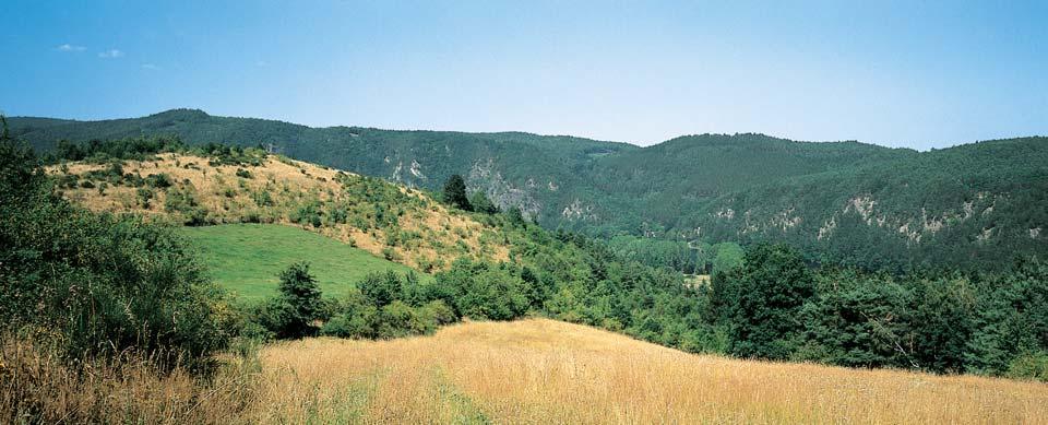 Okres Pfiíbram v tûchto spoleãenstvech na nûkolika lokalitách vyskytuje silnû ohroïen vstavaã kukaãka (Orchis morio).