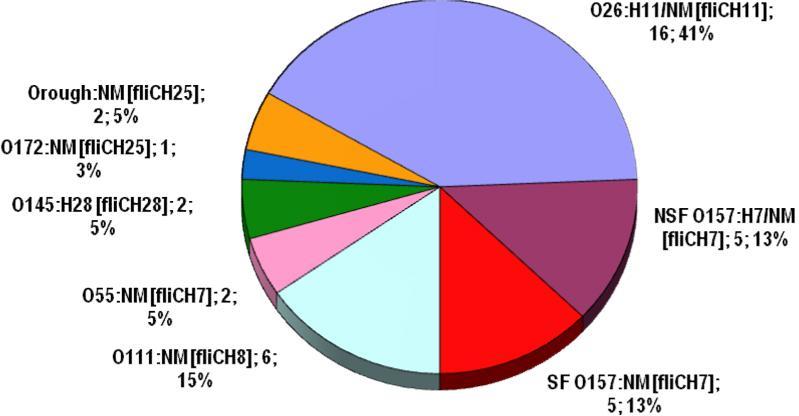 5. VÝSLEDKY 5.1 Výsledky studie Enterohemorrhagic Escherichia coli as Causes of Hemolytic Uremic Syndrome in the Czech Republic [viz Příloha 10.