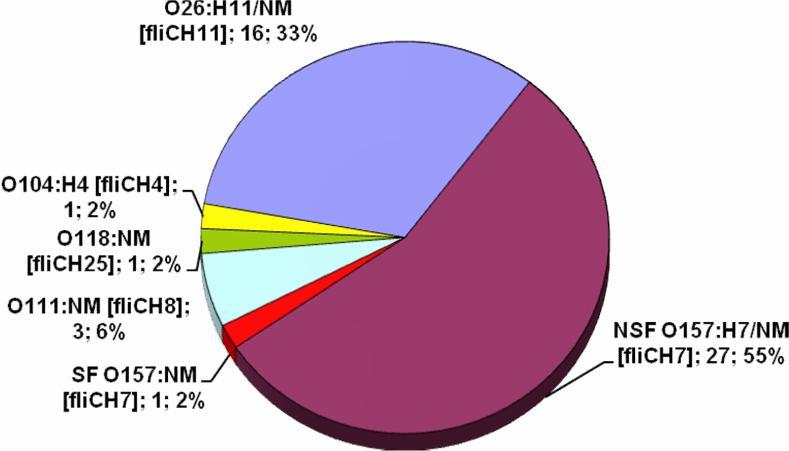 5.2 Výsledky studie Enterohemoragické Escherichia coli jako původci průjmu v České republice, 1965 2013 [viz Příloha 10.