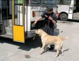 8. MEZINÁRODNÍ MISTROVSTVÍ PSOVODŮ CELNÍ SPRÁVY VE VYHLEDÁVÁNÍ DROG HEŘMANICE 23. 28.5. 2005 8. MEZINÁRODNÍ MISTROVSTVÍ PSOVODŮ CELNÍ SPRÁVY ČESKÉ REPUBLIKY VE VYHLEDÁVÁNÍ DROG HEŘMANICE 23. 28. 5.