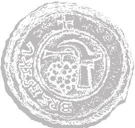 bøezna 2013