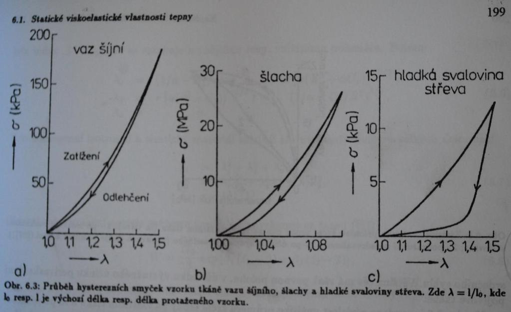 Zástupcem elastinu může být vaz šíjní, který má úzkou hysterezní smyčku, nízký modul pružnosti a zanedbatelnou relaxaci.