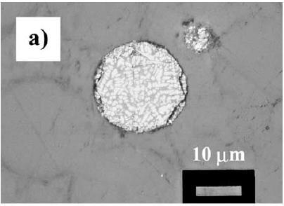 opticky na základě jiné barvy sedimentu. Odebraná jádra s různou úrovní vodní hladiny ukazují záznam průběhu sedimentace a míru antropogenního znečištění.