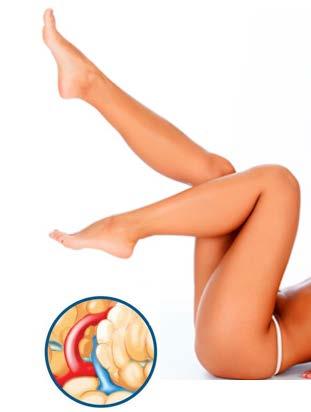 Cx CL SLOŽENÍ L-KARNITIN: md:complex TM Cell-Lipodrain Cx CL Lipolytický a odvodňující roztok s účinky proti celulitidě Stimuluje mobilizaci a destrukci volných mastných kyselin a zlepšuje tak jejich