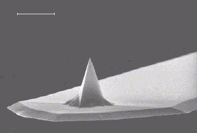 AFM: hrot a