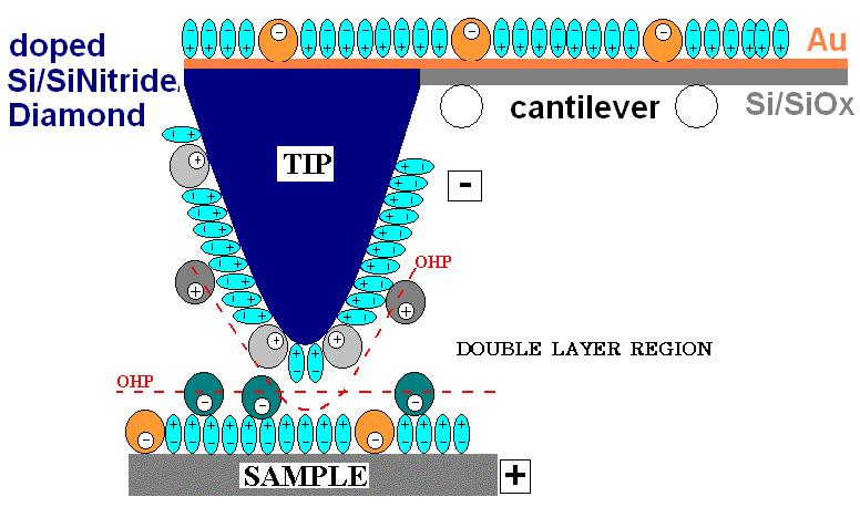 Hrot-cantilever v režimu SECM Dependence of surface tension γ, surface stress f and surface energy u on the electrode potential Φ (Φ = E - E