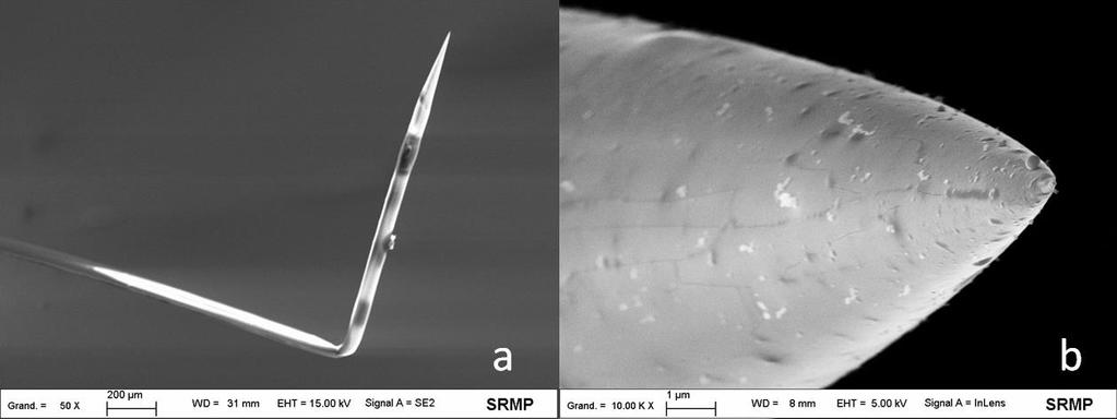 AFM-SECM-elektroda