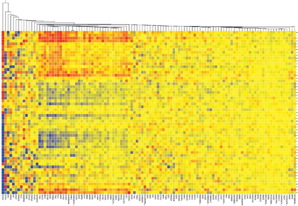 ling centrosome duplication. Methods: Centrin number was used to define presence of CA in PCs (CD138+) of MM patients: more than 4 signals were considered to be positive.