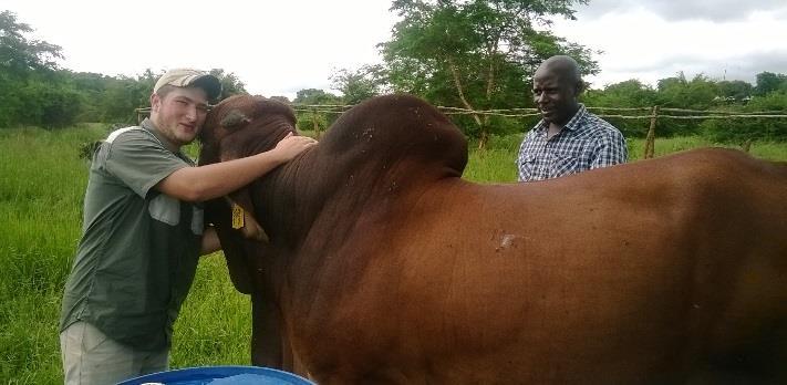 Pozdrav z Afriky Není tomu ani tak dávno, kdy jsem studoval na lanškrounské zemědělské škole. Pravdou je, že jsem tam studoval moc rád.