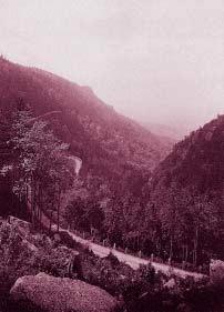 vybudování cesty z Bílého Potoka na Smědavu (1893 1895) a její prodloužení na Darre v roce 1897. Koncem 19. století vznikaly i lesní cesty, zpřístupňující rozsáhlé hvozdy na severu Jizerských hor.