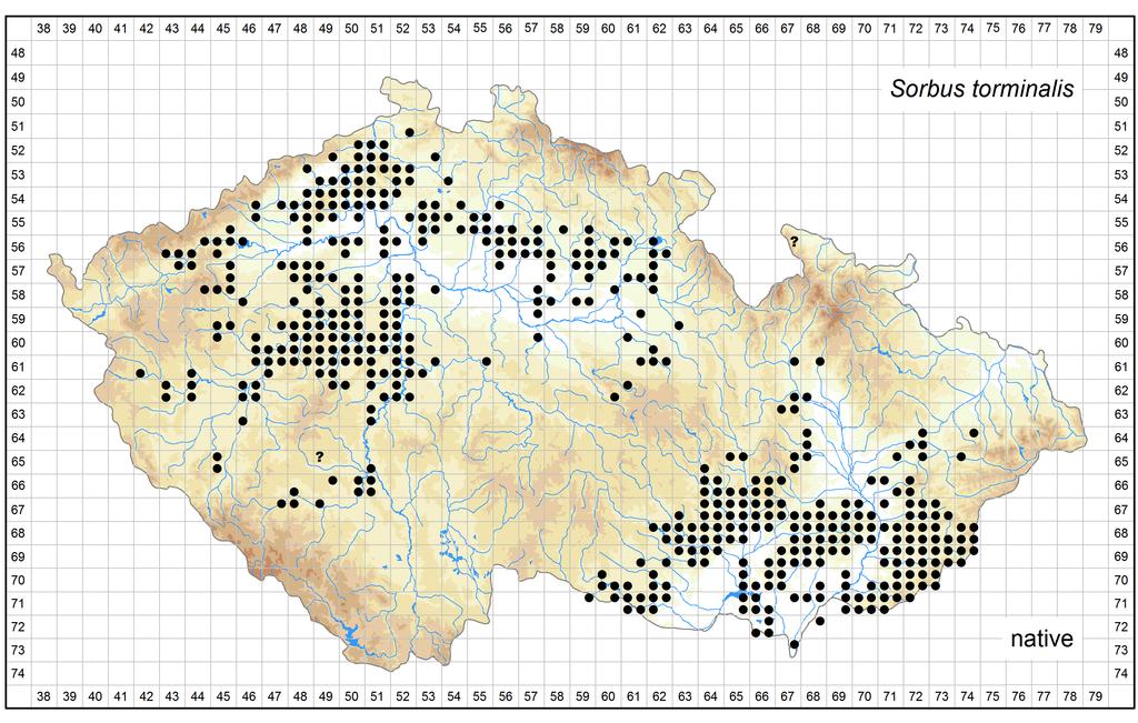 Distribution of Sorbus torminalis in the Czech Republic Author of the map: Martin Lepší, Petr Lepší Map produced on: 11-11-2016 Database records used for producing the distribution map of Sorbus
