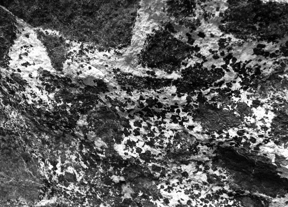 podílem fassaitové komponenty ). Zřetelně mladším minerálem je amfibol, zastoupený ve skarnech i v meladioritech K-bohatým hastingsitem, doprovázený plagioklasy a částečně také K- -živcem.