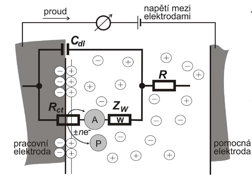 Obr. 2: Randlesův ekvivalentní obvod elektrody, A částice reagující na elektrodě, P produkt elektrodové reakce[8] Pokud takto charakterizovanou elektrodou prochází střídavý proud o programově řízené
