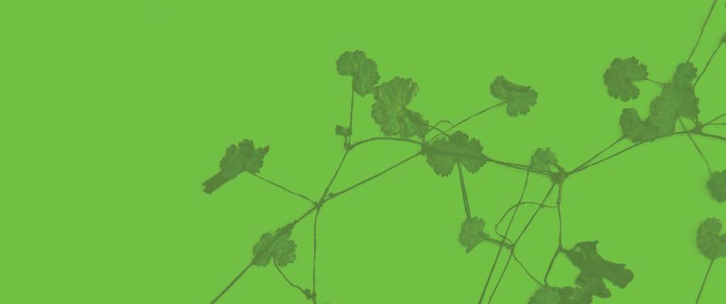 Environmentální organizace v ČR Bohuslav Binka Studijní pomůcka Environmentální organizace v ČR sleduje tři základní cíle.