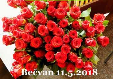 / 16 / červen 2018 Hornobečvanský ZPRAVODAJ ZPRÁVY Z KLUBU DŮCHODCŮ Den matek V pátek 11.