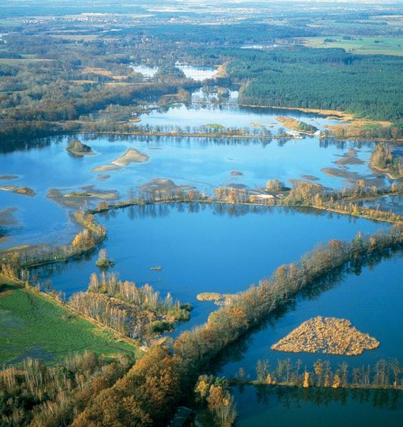 7 Dům přírody Třeboňska Návštěvnické středisko CHKO Třeboňsko, které najdete v areálu zámku, poskytuje informace o přírodě, naučných stezkách a zajímavostech Třeboňska.