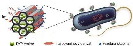 UTB ve Zlíně, Fakulta technologická 30 být využity pro ukotvení a vázání nejrůznějších molekul léčiv. Například pro ukotvení léčiv jako je ibuprofen, aspirin a sulfamidová antibiotika.