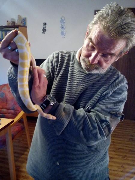 Základní zbarvení hřbetní strany těla je tmavě hnědé až téměř černé.