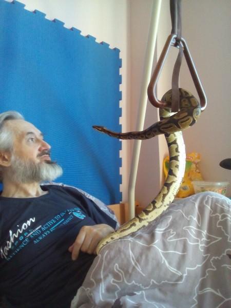 Krajta královská na Vyhlídce Velice děkujeme p. Janičce Hercikové z P4, která po domluvě a na přání p. Hofbauera přijela 16.