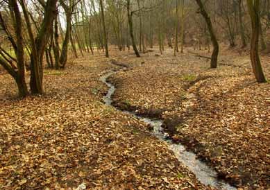 300 cibulka otevření zatrubněného koryta Potok Cibulka, který je pravostranným přítokem Motolského potoka, pramení ve studánce pod skalními výchozy přírodní památky Vidoule.