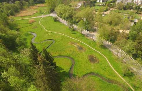Nové koryto potoka Revitalizace