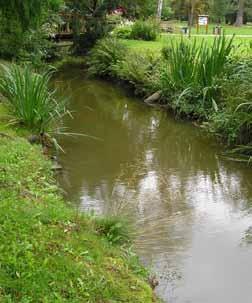 Jiří Jílek Laguna po revitalizaci Laguna před