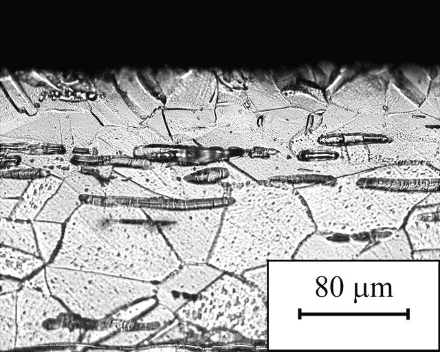 austenitického zrna viz obr. 3.