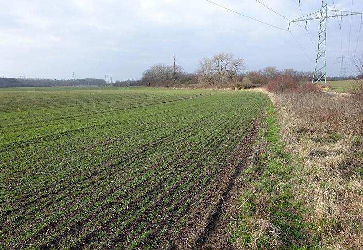 Srovnávací nemovité věci (SN): 1) Zemědělský pozemek, Horní Počernice Zemědělský pozemek, k.ú. Horní Počernice, obec Praha.
