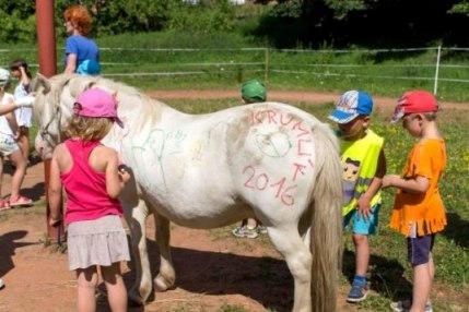 Zároveň jednou za měsíc pořádají větší tematické akce jako karneval, vánoční focení, společná snídaně a další.