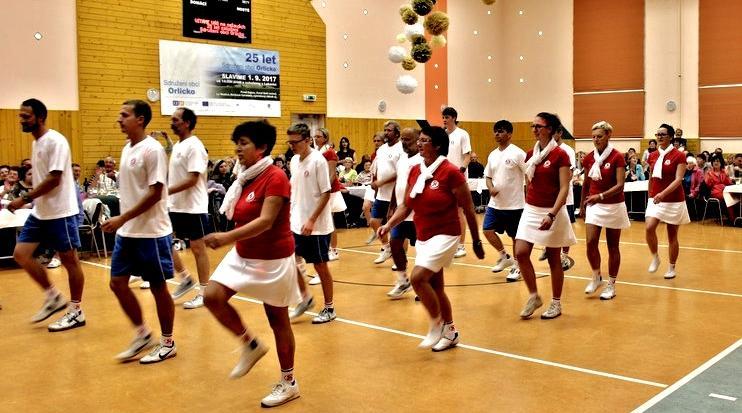 ------------------------------- Sokolské cvičení Lví silou Sdružení obcí Orlicko oslavilo v letošním roce 25. výročí založení. Oslava se konala v obci Lukavice u Žamberka.