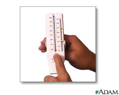 PZT, pomůcka pro self-monitoring - sledování kondice plicní ventilace. Měří vrchol proudu vzduchu při výdechu PEFR peak expiratory flow rate (nejedná se o měření vitální kapacity plic).