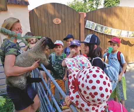Zde byl pro děti připraven prosklený úl. Beze strachu ze žihadla mohly děti sledovat, jaký je život včel v úle.