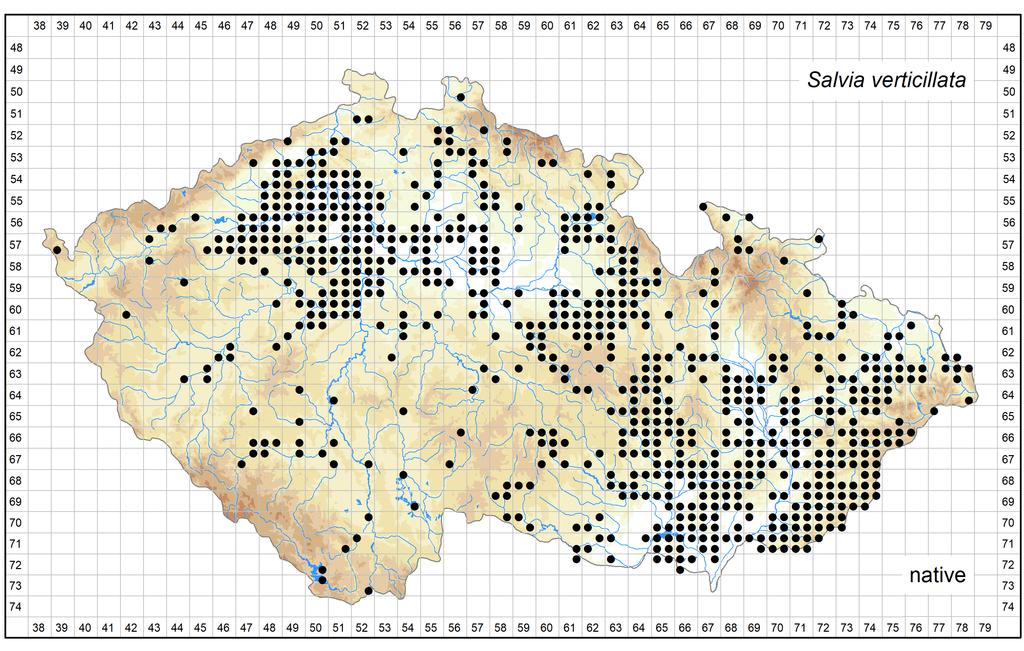 Distribution of Salvia verticillata in the Czech Republic Author of the map: Jitka Štěpánková Map produced on: 12-06-2018 Database records used for producing the distribution map of Salvia