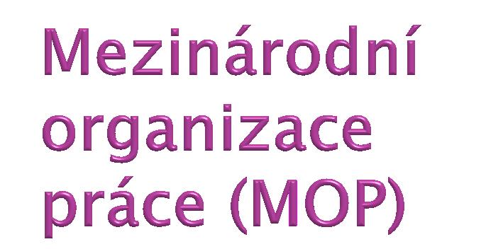 MOP formuluje mezinárodní pracovní standardy (minimální úroveň základních pracovních práv) zejména v následujících oblastech: základní principy práv v práci,