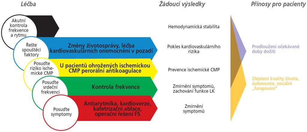 Léčba FS, výsledky a přínos pro pacienta Čihák R, Haman L, Táborský M.