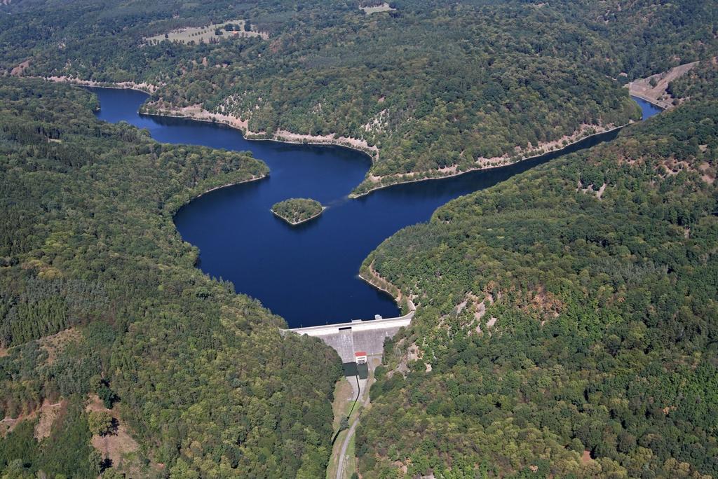 prostřednictvím predace zooplanktonu), ale stejně tak jsou obsádky formovány prostředím, neboť růst a rozmnožování striktně závisí na okolí.